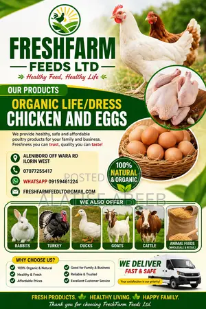 Poultry Stock, Eggs
