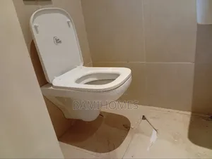 Expert Toilet Installer