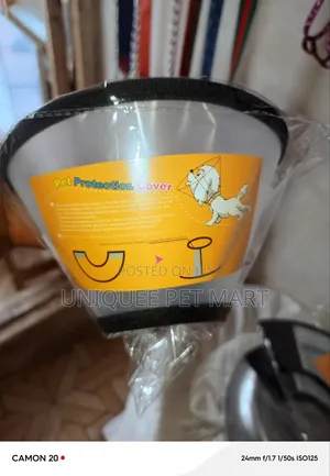 Elizabetha Collar for Dogs, Cone Collar