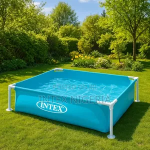 Intex Mini Pool for Pet Like Dog or Duck