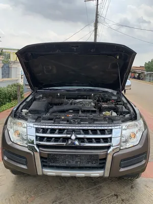 Mitsubishi Pajero 2015 Brown
