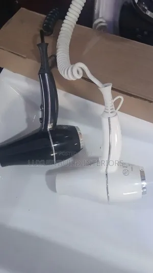 Electric Hair Dryer