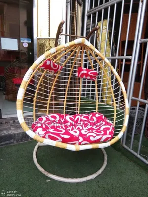 Double Swing Chair