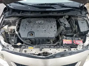 Toyota Corolla 2010 Gold