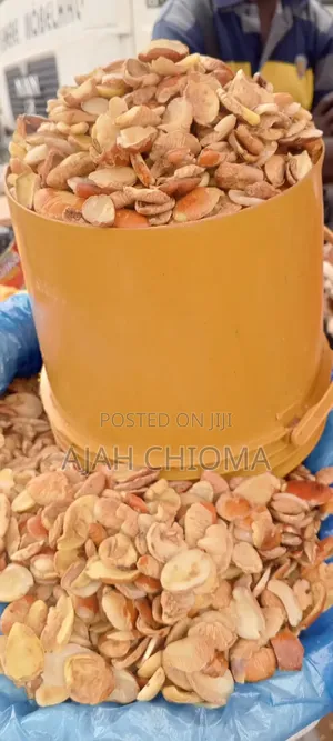 Fresh Dried Ogbono Seeds for Sale - Whole Sales and Retails All Here