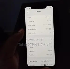 Apple iPhone 11 Pro 256 GB Gray