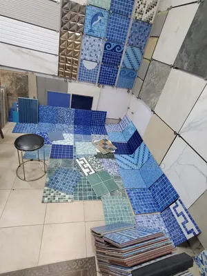 Swimming Pool Tiles and Toilet