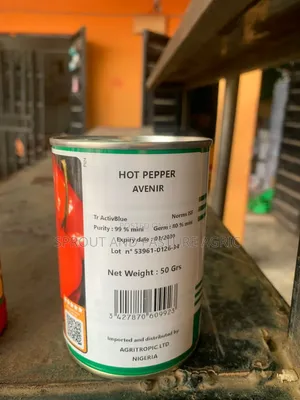 Avenir 50gr