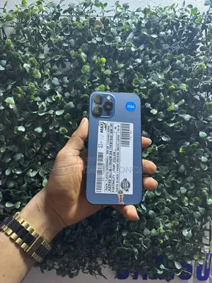 Apple iPhone 12 Pro Max 256 GB Blue