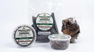 Anuoluwa Foods