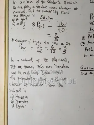 Online Mathematics Coaching