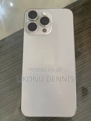 Apple iPhone 15 Pro Max 256 GB Gray