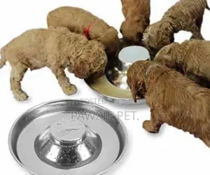 Puppy Stainless Bowl(34cm)