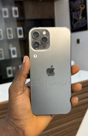 Apple iPhone 12 Pro Max 256 GB Gray