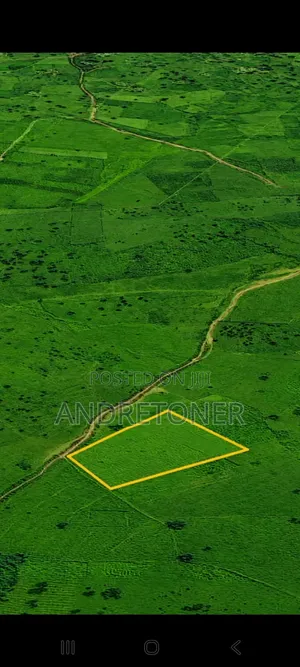 Promo Offer One Hectre of Land