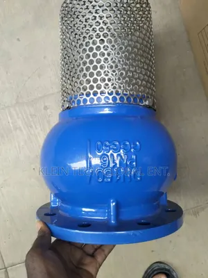 Flange Foot Valve