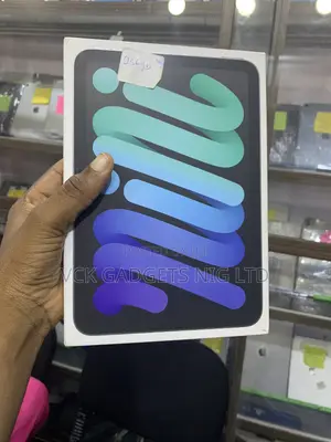 New Apple iPad mini 7 256 GB Gray