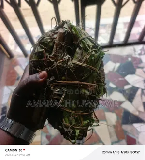 Ajumbasie Herb Leaves