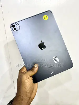 Apple iPad Pro 11 (2024) 256 GB Gray