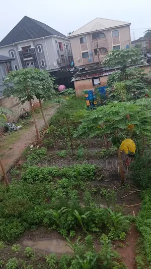 Solid Half Plot of Land for Sale in Ago