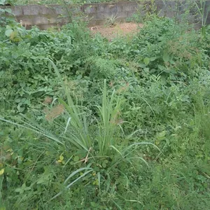 Joint Venture Land Available at Lekki