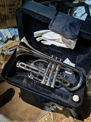 Sanjin Premier Cornet