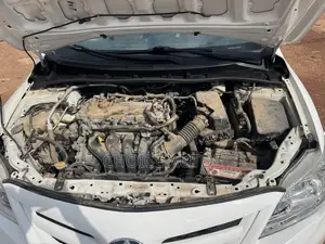 Toyota Corolla 2014 White