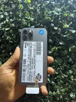 Apple iPhone 12 Pro 256 GB Gray