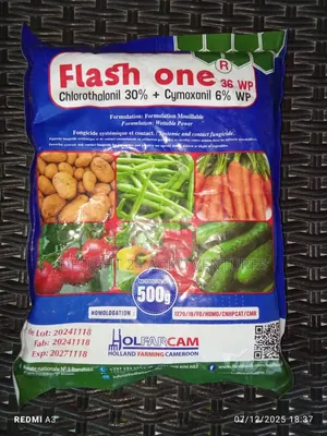Flash One 36WP