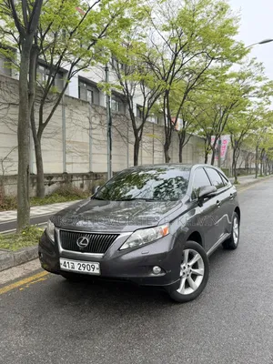 Lexus RX 2011 Gray