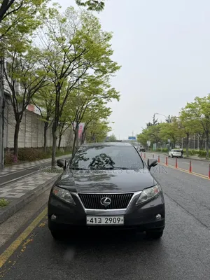 Lexus RX 2011 Gray