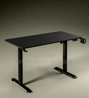 Sit Stand Electric Desk