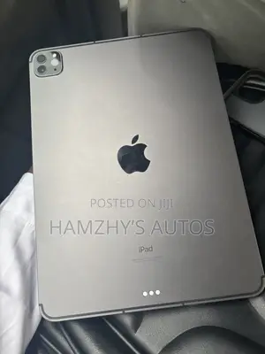 Apple iPad Pro 11 (2021) 256 GB Gray