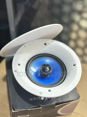 Original 100watts Passive 8inches Ceiling Speaker