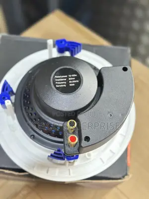 Original 100watts Passive 8inches Ceiling Speaker