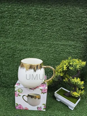 Gold Mug Single 1pc Fancy PKT