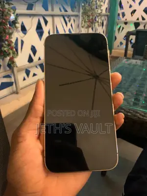 Apple iPhone 13 Pro Max 256 GB Gold