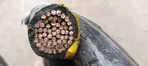 500mm Single Core PVC PVC Armoured Cable Nigerchin