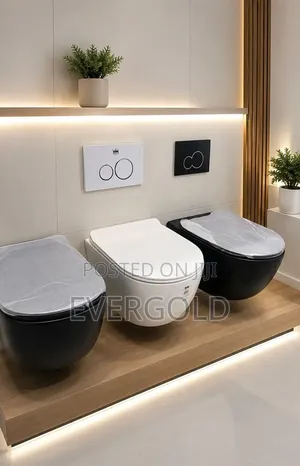 Concealed Wall Hang England Toilet Available