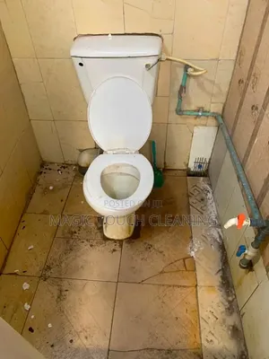 Skilled in Deep Sanitation
