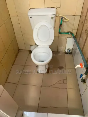Skilled in Deep Sanitation