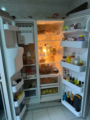 Samsung Fridge