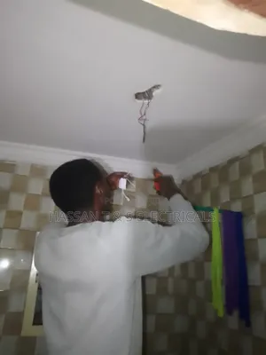 Professional Electrician