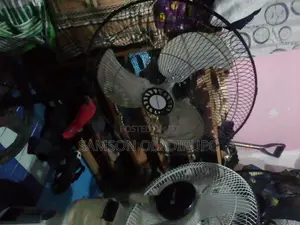Standing Fan