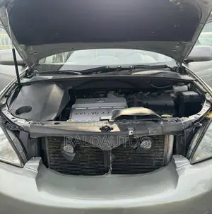 Lexus RX 330 2005 Gray