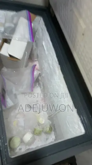 Deep Freezer