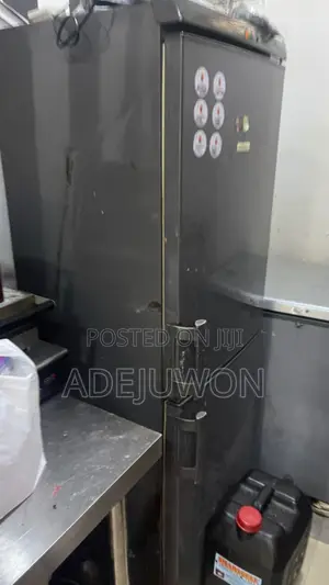 Standing Freezer