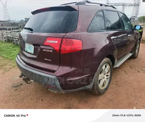 Acura MDX 2009 Beige