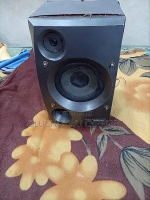 PIONEER Speaker
