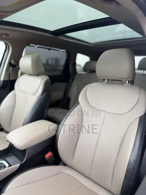 Hyundai Santa Fe Limited 2.4 AWD 2020 Gray